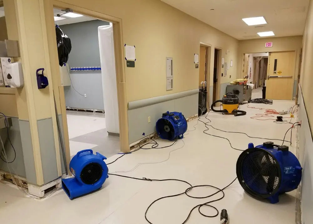 Water damage restoration crew working in Lemon Grove, CA