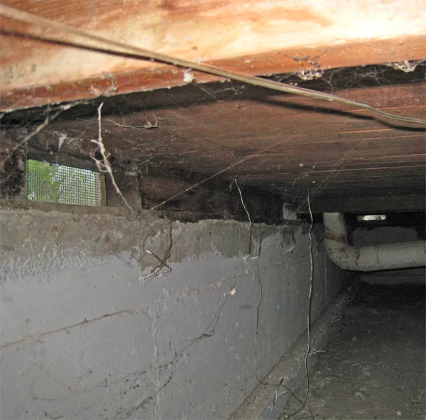 Crawlspace Water Removal in a Chula Vista home