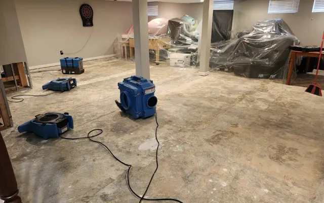 Sump Pump Failure Flooding in Lemon Grove, CA
